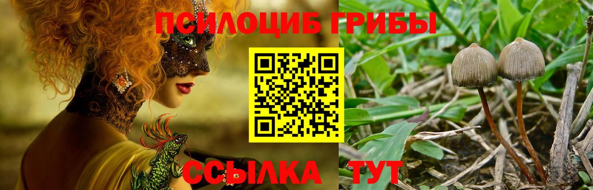 Псилоцибиновые грибы Psilocybine cubensis  где купить наркоту  Апатиты  Вход с VPN 
